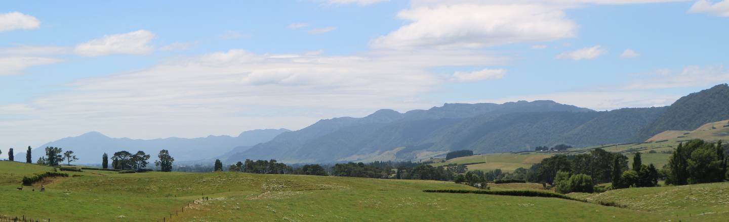 Kaimai Range