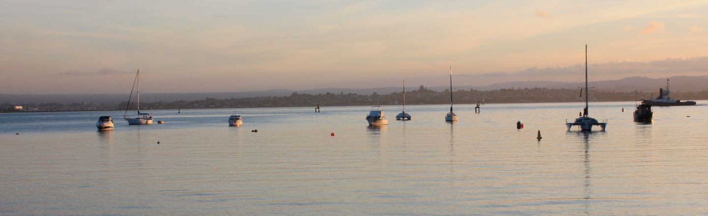 Tauranga Harbour